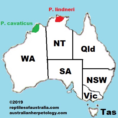 Pseudothecadactylus lindneri & cavaticus map